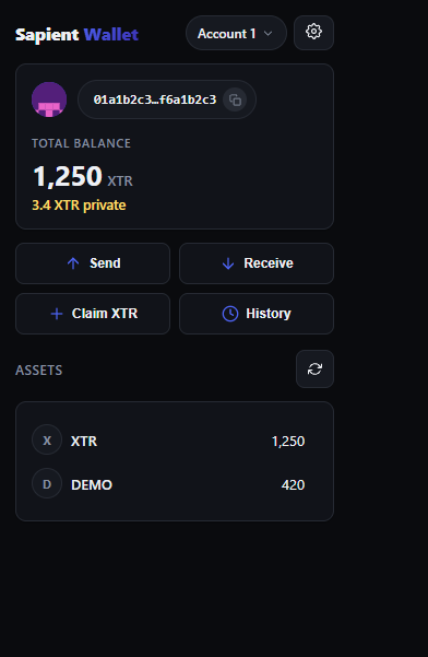 Sapient wallet popup showing account balances