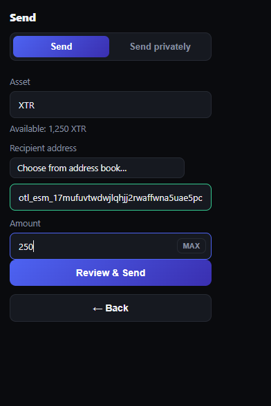 Send screen with a wallet address and amount filled in